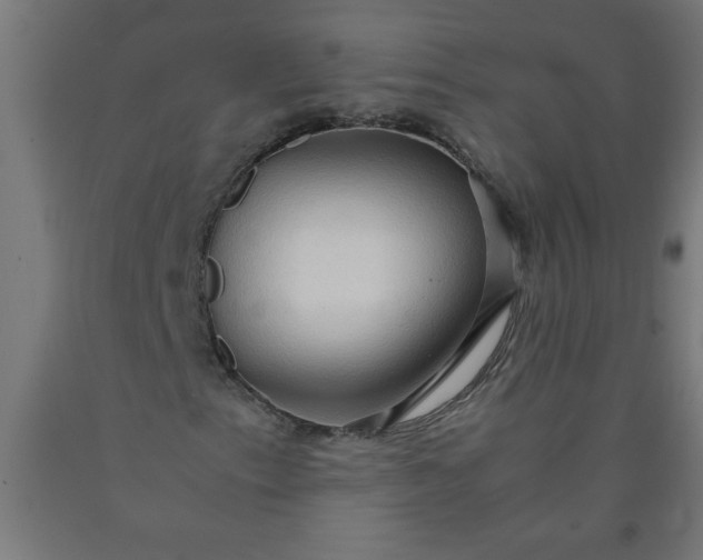 X0000090621153200707311238
