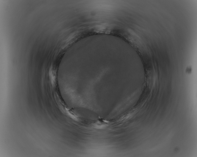 X0000090621154200707311238