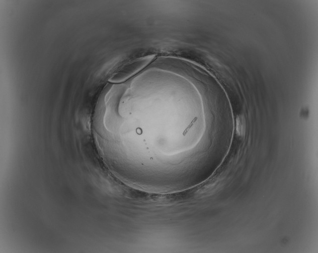X0000090621155200707311238