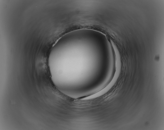 X0000090621156200707311238