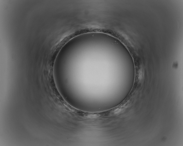 X0000090621157200707311238