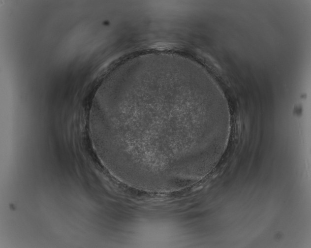 X0000090621158200707311238