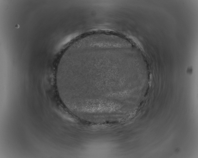 X0000090621159200707311238