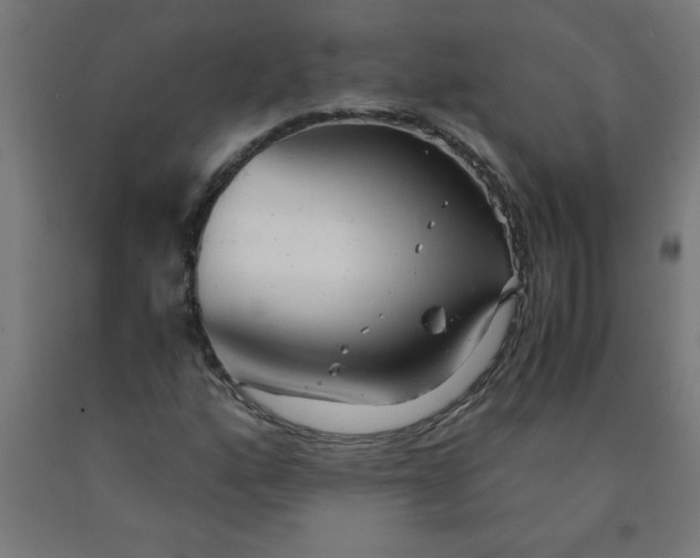 X0000090621160200707311238
