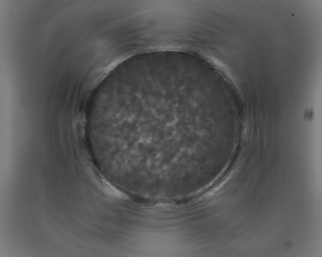 X0000090621161200707311238
