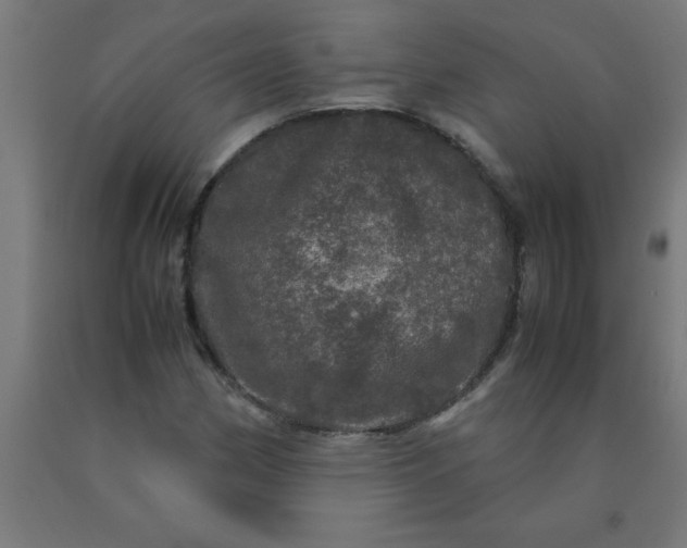 X0000090621162200707311238
