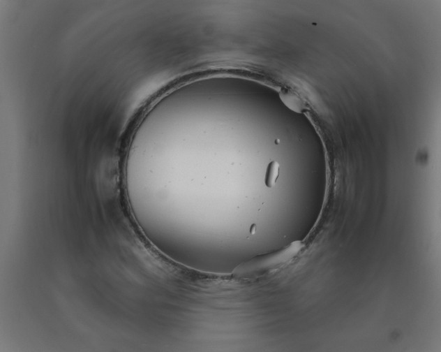 X0000090621164200707311238