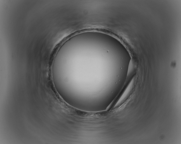 X0000090621165200707311238