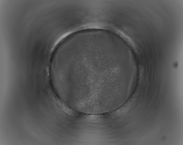 X0000090621166200707311238