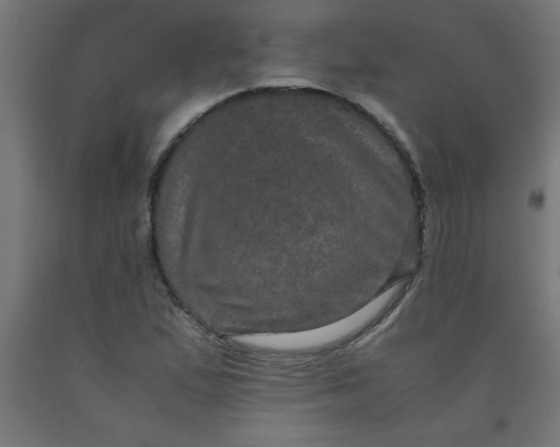 X0000090621167200707311238