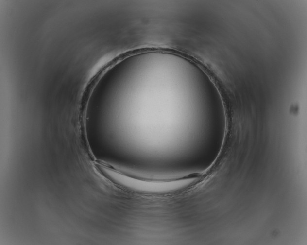 X0000090621168200707311238