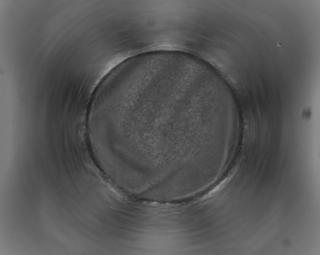 X0000090621170200707311238