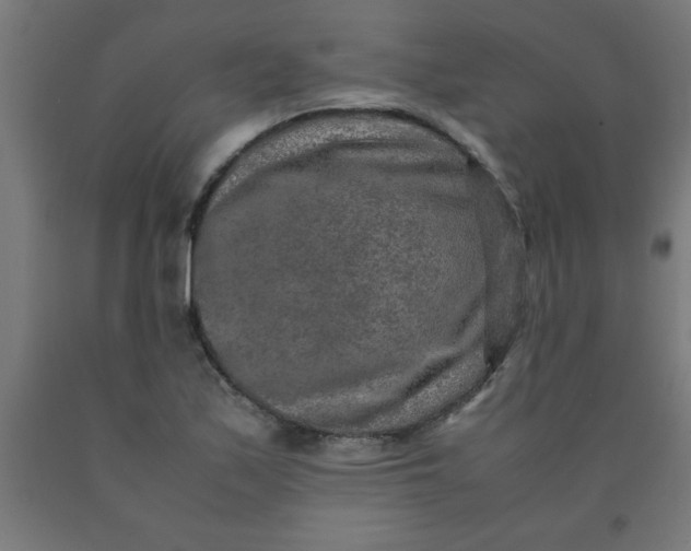 X0000090621171200707311238