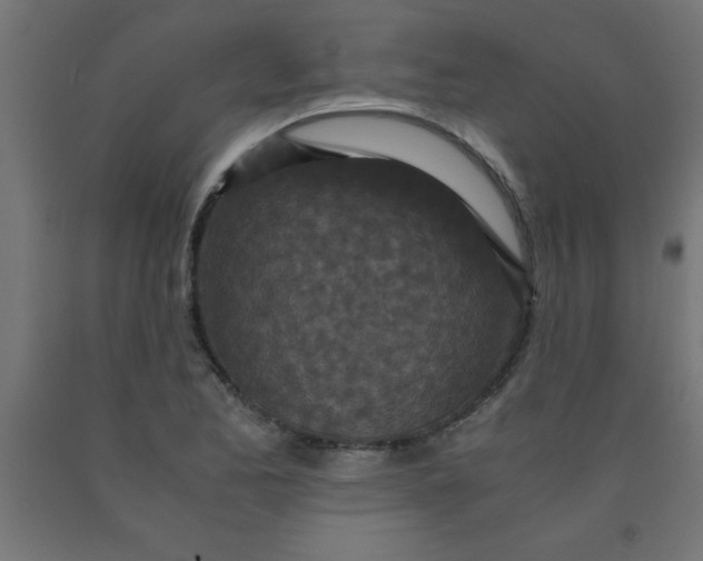 X0000090621173200707311238