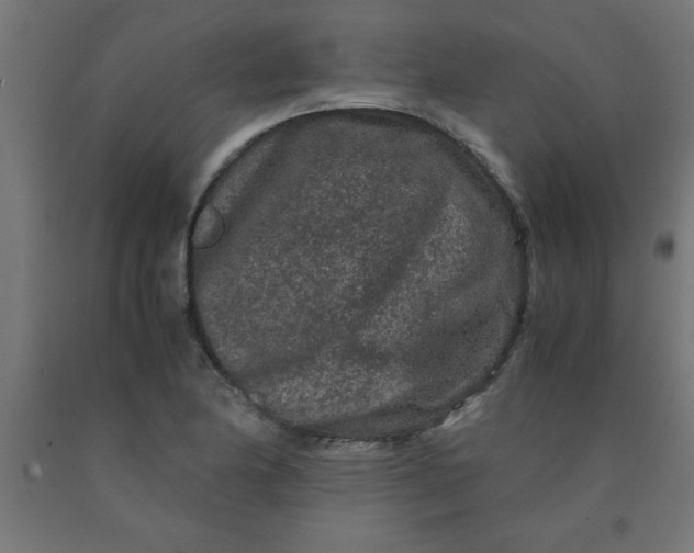 X0000090621174200707311238