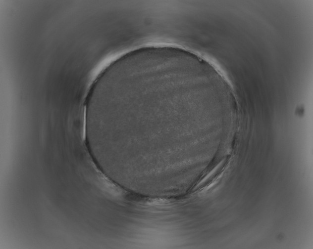 X0000090621175200707311238