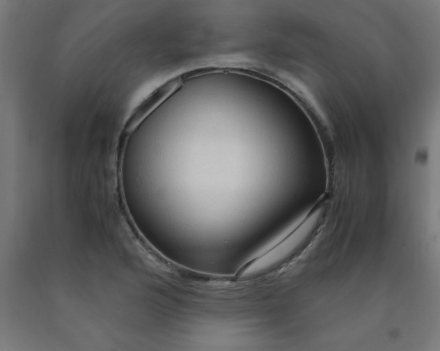 X0000090621176200707311238