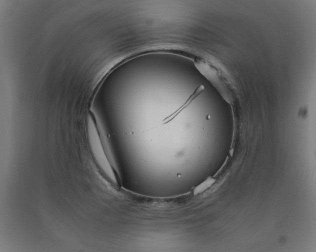 X0000090621177200707311238