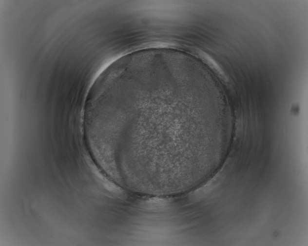 X0000090621178200707311238