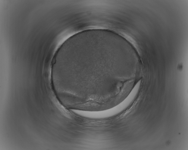 X0000090621179200707311238