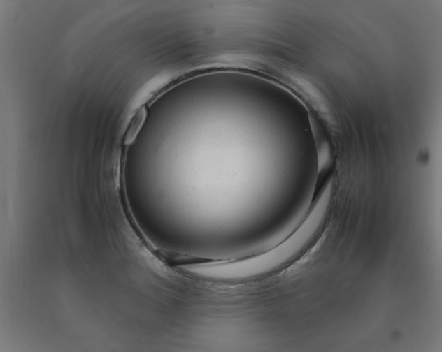 X0000090621180200707311238