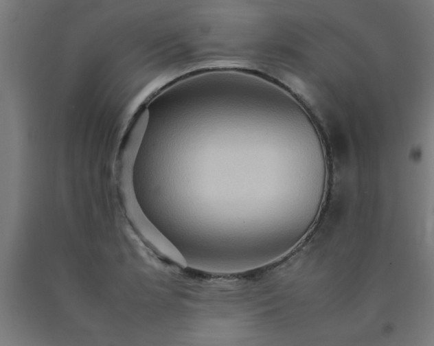 X0000090621181200707311238