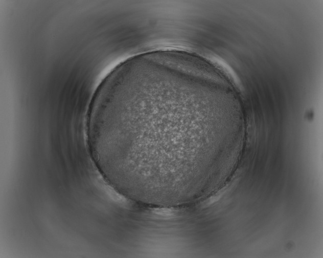 X0000090621182200707311238
