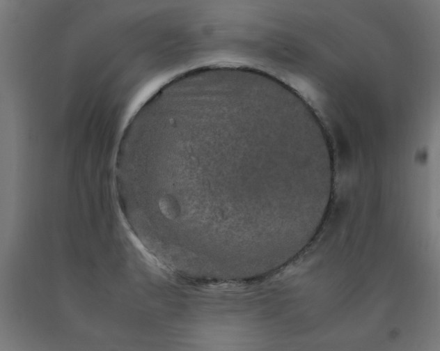 X0000090621183200707311238