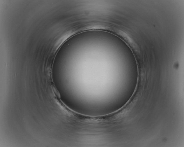 X0000090621185200707311238