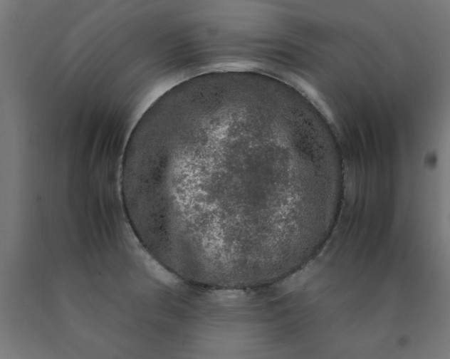 X0000090621186200707311237