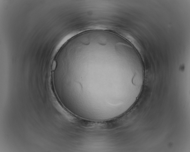 X0000090621187200707311237