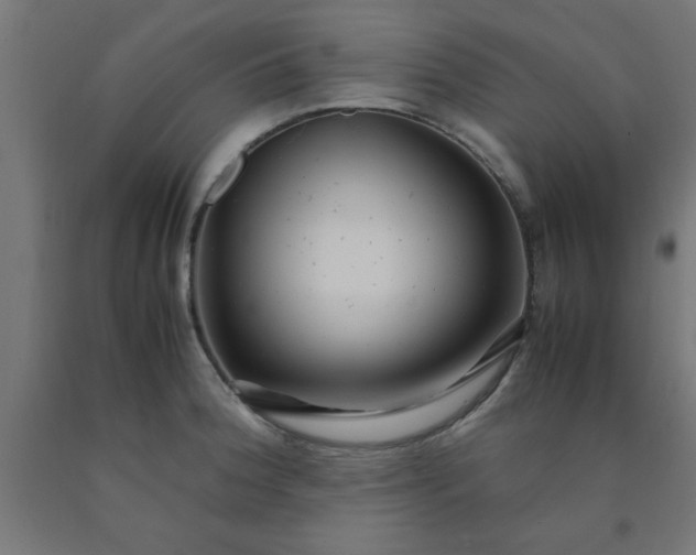 X0000090621188200707311237