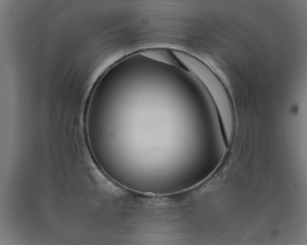 X0000090621189200707311237