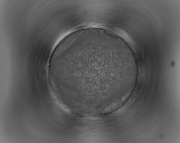 X0000090621190200707311237