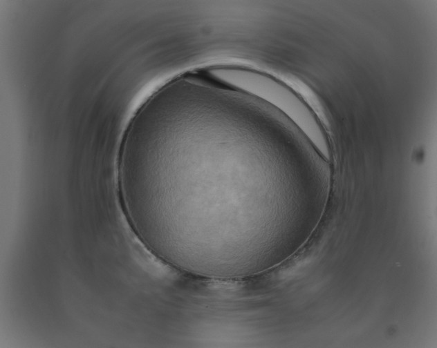 X0000090621191200707311237