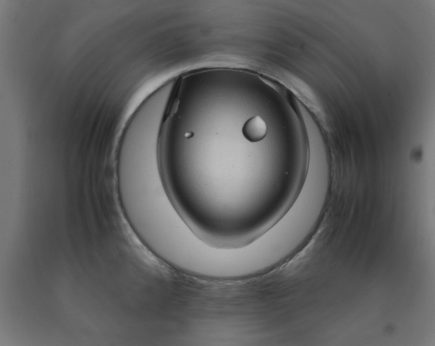 X0000090621192200707311237