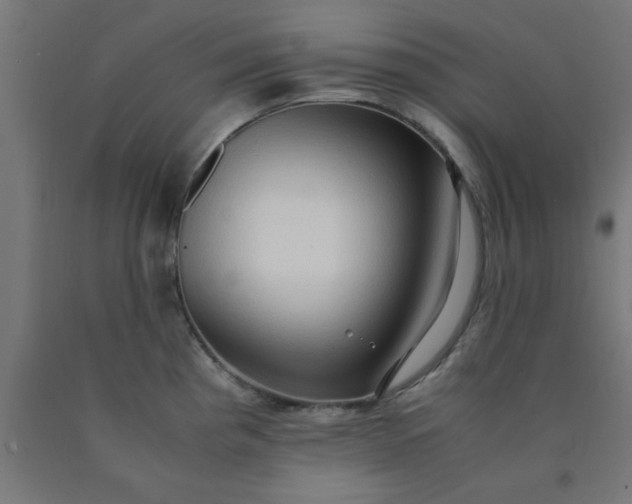 X0000090621193200707311237