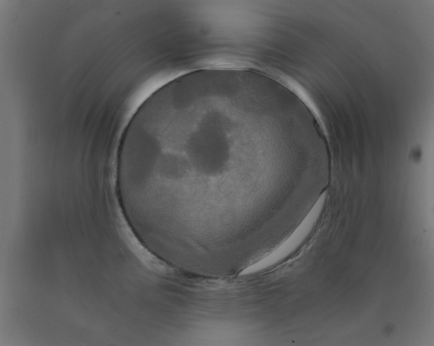 X0000090621195200707311237