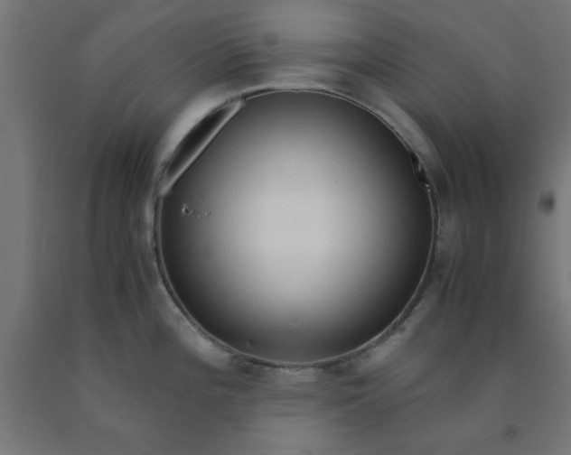 X0000090621196200707311237