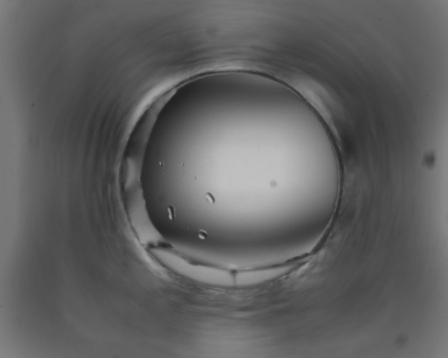 X0000090621197200707311237