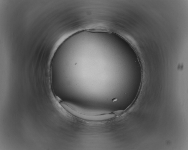X0000090621200200707311237