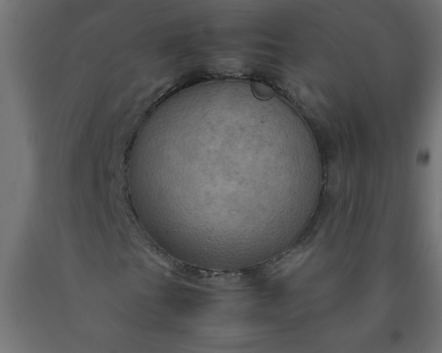 X0000090621201200707311237