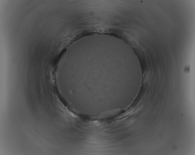 X0000090621202200707311237