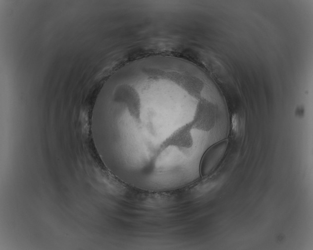 X0000090621203200707311237