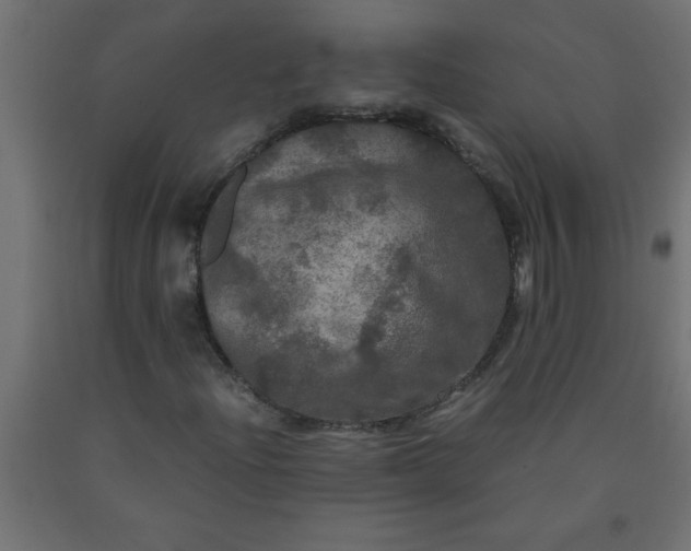 X0000090621204200707311237