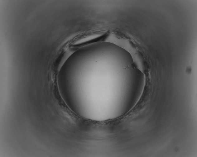 X0000090621206200707311237