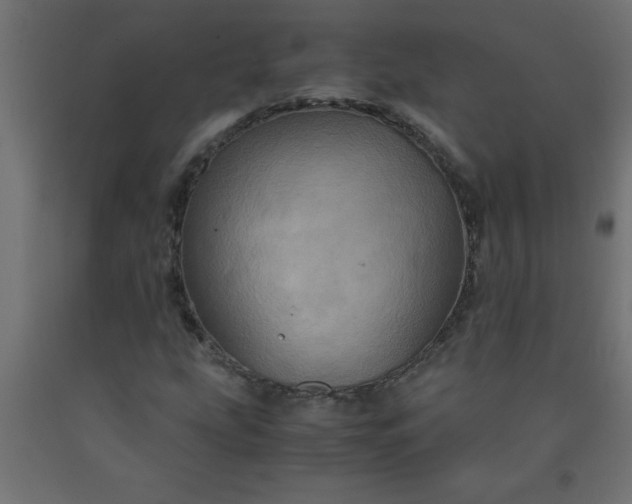 X0000090621207200707311237