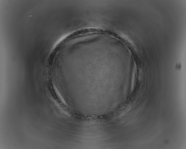 X0000090621208200707311237