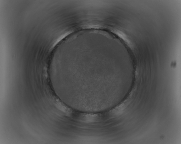X0000090621209200707311237