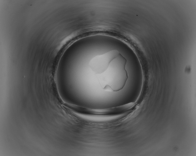 X0000090621210200707311237